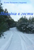 Обложка книги "Поездка в гости"