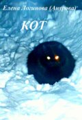 Обложка книги "Кот"