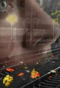 Обложка книги "Сигнатура судьбы"