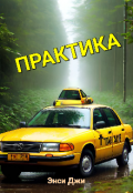 Обложка книги "Практика"