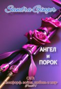 Обложка книги "Ангел и Порок"