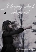 Обложка книги "Я встречу тебя в лабиринте!"