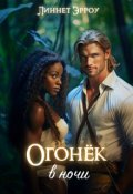Обложка книги "Огонек в ночи"