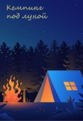 Обложка книги "Кемпинг под луной"