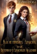 Обложка книги "Как не прибить дракона, или Ветеринар в Драконьей Академии"