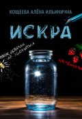 Обложка книги "Искра"