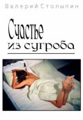 Обложка книги "Счастье из сугроба"
