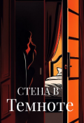 Обложка книги "Стена в темноте"