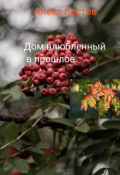 Обложка книги "Дом влюбленный в прошлое "