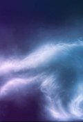 Обложка книги "Кошки всякие нужны, кошки всякие важны"