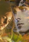 Обложка книги ""Не жалею, не зову, не плачу...""