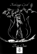 Обложка книги "Пляс огня"