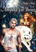 Обложка книги "Ловушка для Волка"