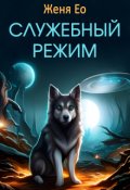 Обложка книги "Служебный режим"