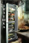 Обложка книги "Зилушка"