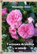 Обложка книги "Госпожа Агнесса и эльф"