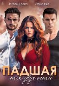 Обложка книги "Падшая. Меж двух огней"
