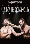 Обложка книги "Судьбу не обманешь"