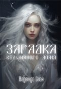 Обложка книги "Загадка ведьминого дома"