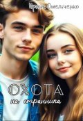 Обложка книги "Охота на странника"