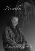 Обложка книги "Носочки"