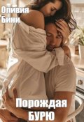 Обложка книги "Порождая бурю"