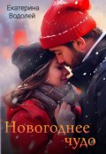 Обложка книги "Новогоднее чудо"