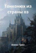 Обложка книги "Тонконюх из клана Рыжих Лисиц"