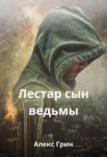 Обложка книги "Сын колдуньи"