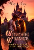 Обложка книги "Шпионы в замке, или Поймай меня, если сможешь!"
