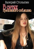 Обложка книги "В сетях греховного соблазна"