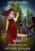Обложка книги "Кам. Практика на острове друидов"