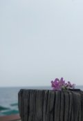 Обложка книги "я выбираю любовь"