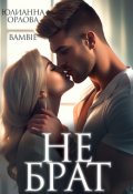 Обложка книги "Не брат"