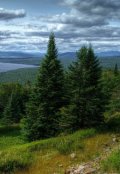 Обложка книги "Жена Богом дана"