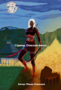 Обложка книги "Стражи. Опасное место"
