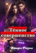 Обложка книги "Темное Совершенство"