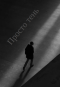 Обложка книги "Просто тень"