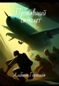 Обложка книги "Пропавший самолет"