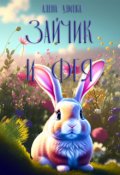 Обложка книги "Зайчик и Фея"