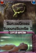 Обложка книги "Волшебные королевства 5"