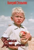 Обложка книги "Такая разная осень"