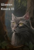 Обложка книги "Шаман. Книга третья"