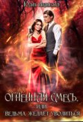 Обложка книги "Огненная смесь, или Ведьма желает уволиться"