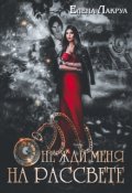 Обложка книги "Не жди меня на рассвете"
