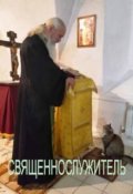 Обложка книги "Священнослужитель"