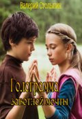 Обложка книги "Голограмма желанной мечты"