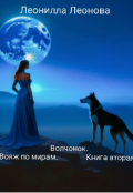 Обложка книги "Волчонок. Вояж по мирам. Книга вторая."