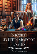 Обложка книги "Злодей из Штормового замка"