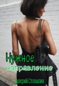 Обложка книги "Нужное направление"